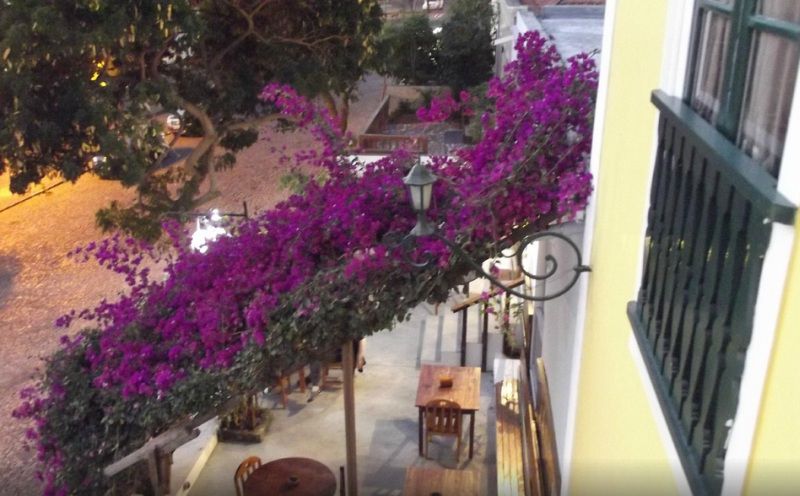 Hotel Savana 3*